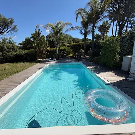 Entre Foret Et Villa Sainte-Maxime